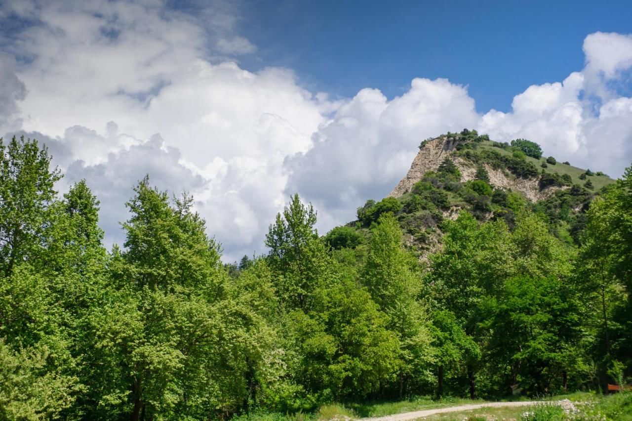 Отель Hotel Rechen Rai Мелник